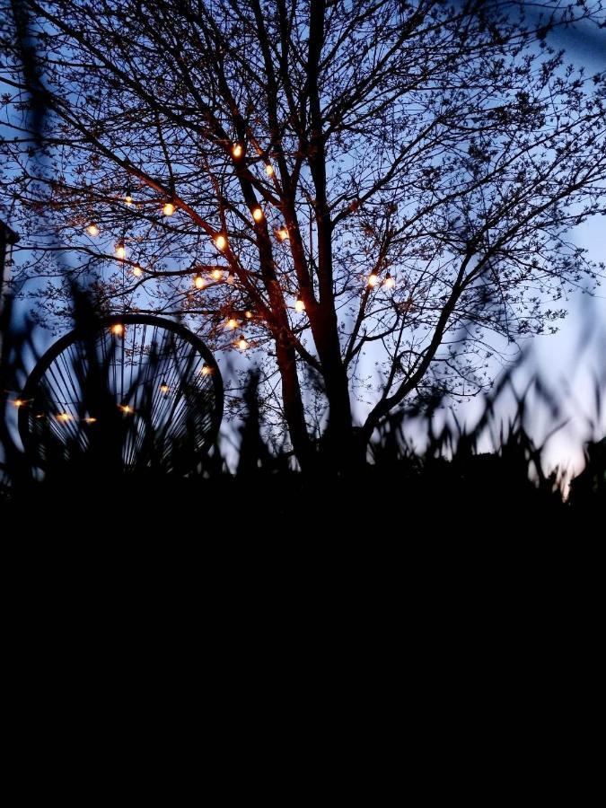 Siedlisko Na Wydmach, Domki Klimatyzowane Łeba Exteriör bild